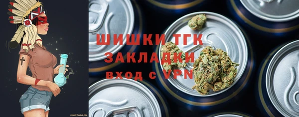 мдпв Протвино