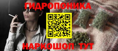 стаф Канаш