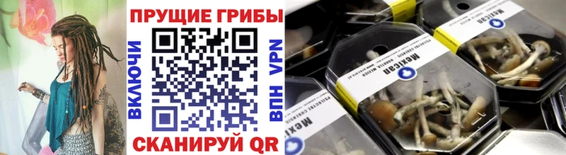 Псилоцибиновые грибы прущие грибы Ногинск