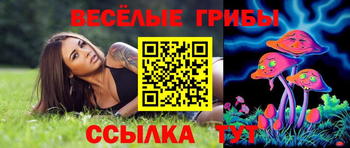 цена   Псилоцибиновые грибы MAGIC MUSHROOMS  Ногинск  Галлюциногенные грибы ЛСД 