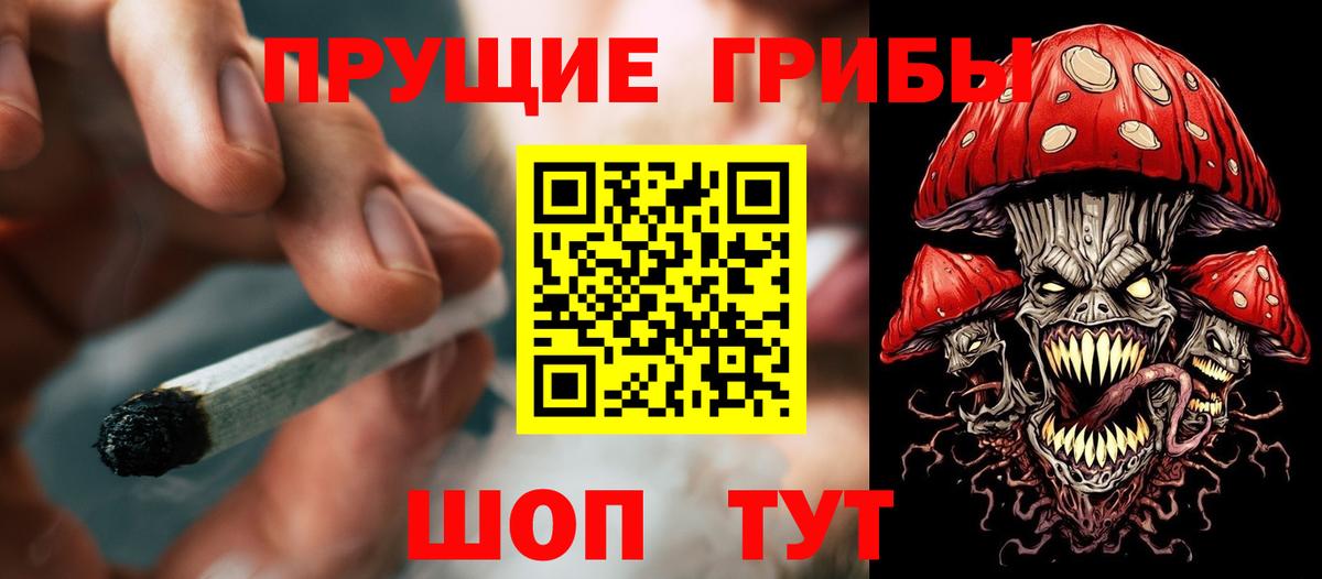 Псилоцибиновые грибы Magic Shrooms  Вход с VPN  Ногинск 