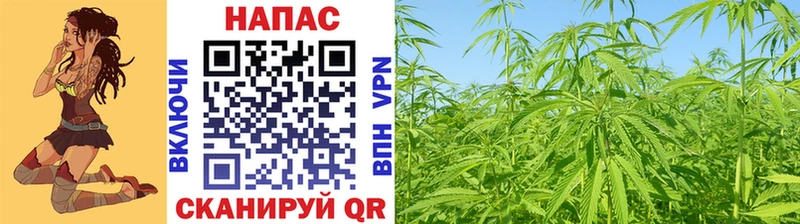 Канабис Bruce Banner Ногинск